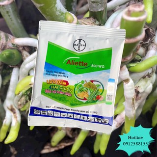 Thuốc Trị Thối Gốc, Rễ Aliette 800WG - VTNN Bắc Từ Liêm