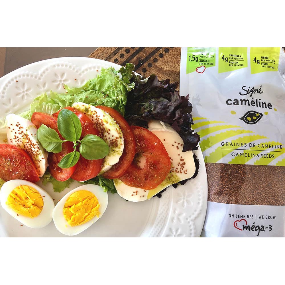 Hạt dinh dưỡng Camelina giàu Omega3-6-9 nhập khẩu Canada