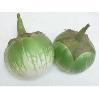 HẠT GIỐNG CÀ BÁT XANH DA ẾCH GÓI 50 HẠT