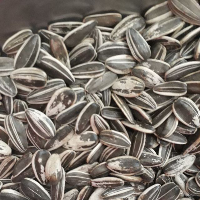 1kg hạt hướng dương loại 1 ( gia long )