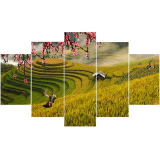 5150007 Bộ 5 Tấm Tranh Phong Cảnh Sơn Thủy Hữu Tình Ruộng Bậc Thang Miền Núi treo tường trang trí phòng khách ngủ
