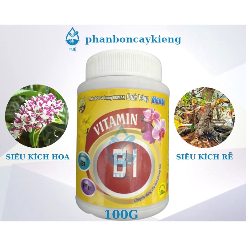 Phân Bón Lá Vitamin B1 Cuốc Vàng 100ml - Kích rễ cực mạnh - Kích ra hoa -  Chuyên dùng cho hoa phong lan, cây kiểng