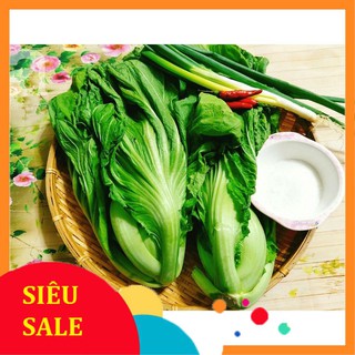 20g hạt giống cải bẹ dưa vietphat