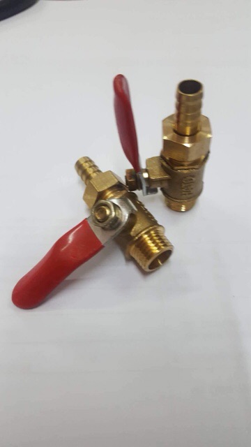 Van bi đuôi chuột thau