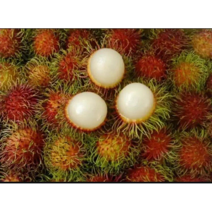 1 kg chôm chôm thái tươi ngon ngọt giao hàng nhanh TPHCM | BigBuy360 - bigbuy360.vn