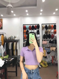 polo trơn ngắn