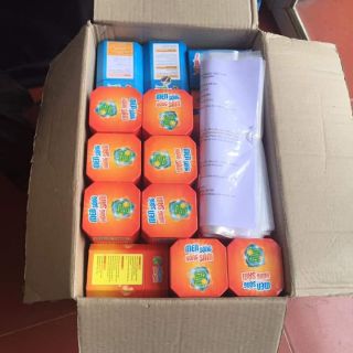Men sống hồng sâm