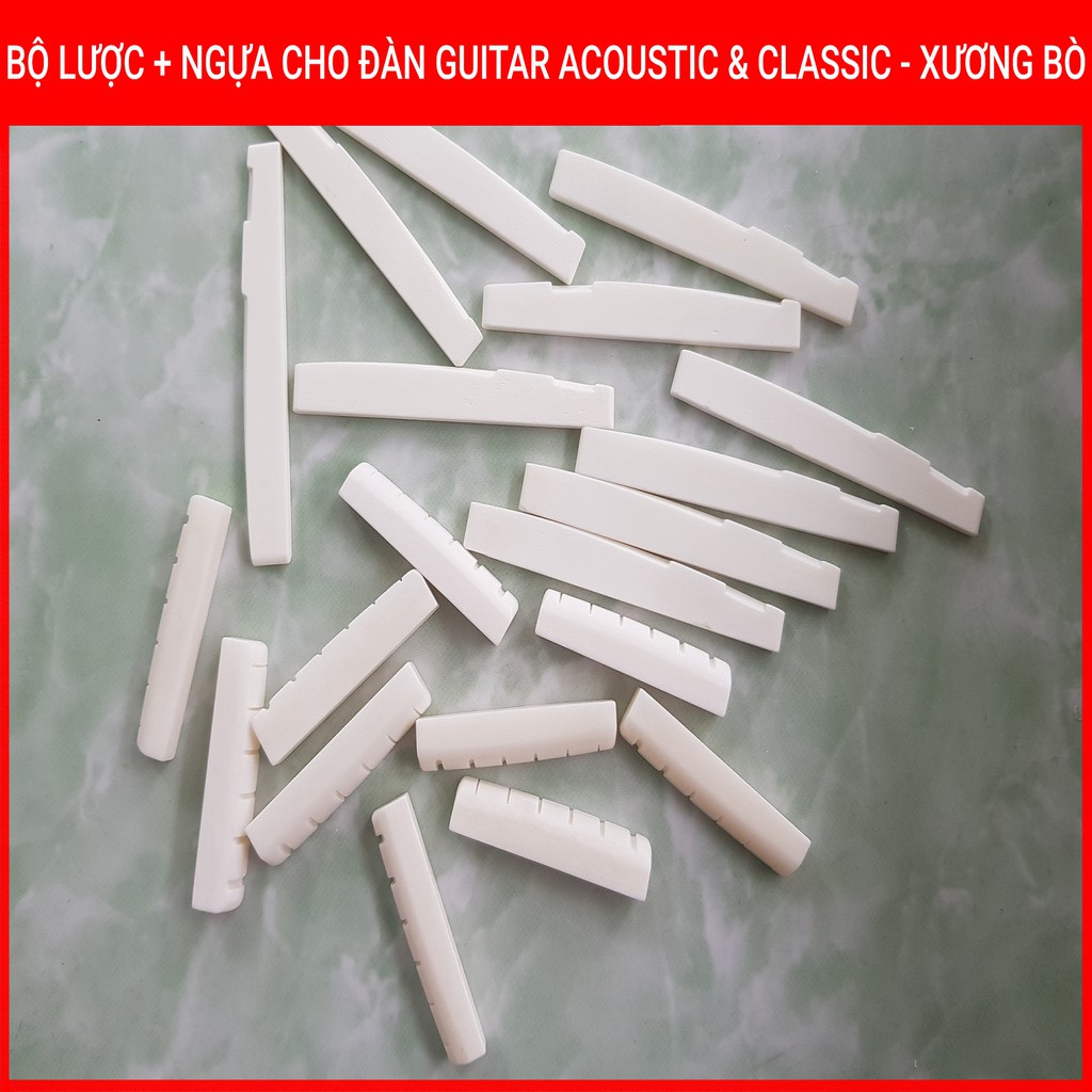 Xương Bò | Bộ lược ngựa đàn Guitar Acoustic và Guitar Classic