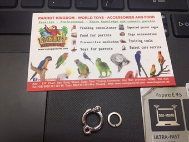 Vòng tháo lắp cho vẹt