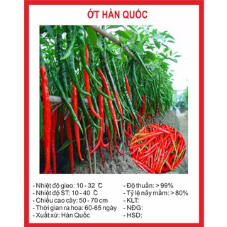 Hạt giống ớt hàn quốc 30 hạt