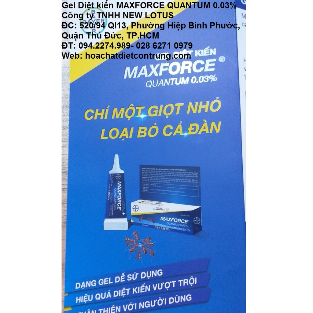 Gel Diệt Kiến MAXFORCE QUANTUM 0.03% (BAYER)