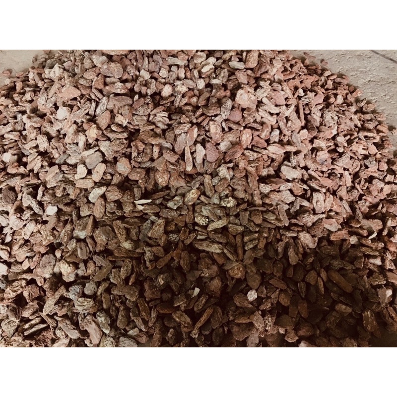 Vỏ Thông đủ size gói 1kg