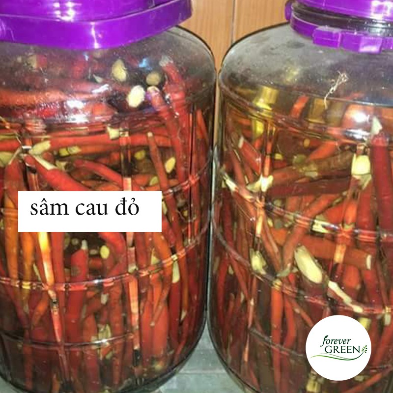 Sâm cau đỏ [1KG] - Thần dược dành cho quý ông - FG036