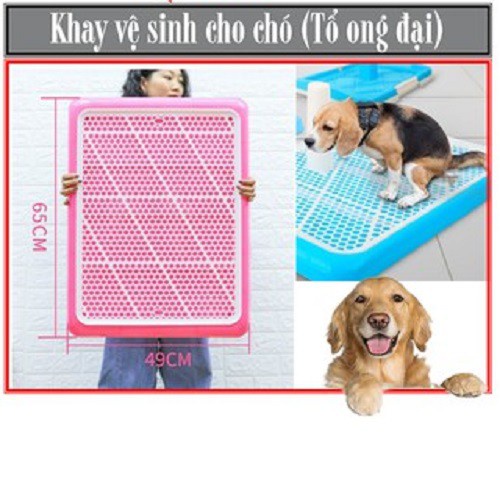 GoVap- Khay vệ sinh cho chó lớn dạng khay dẹt có lưới (2 size - màu ngẫu nhiên )+ Tặng 3 tấm tã giấy lót chuồng, sàn xe