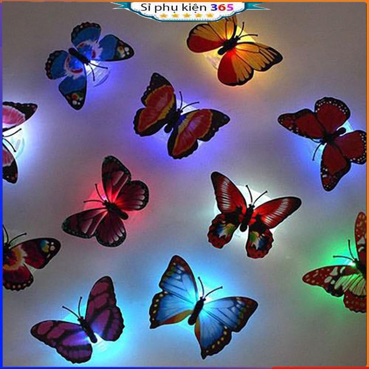 Đèn LED Trang Trí Hình Bướm 3D Màu Sắc Ngẫu Nhiên