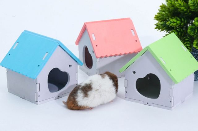 Nhà ngủ lắp ráp cửa tim cho Hamster