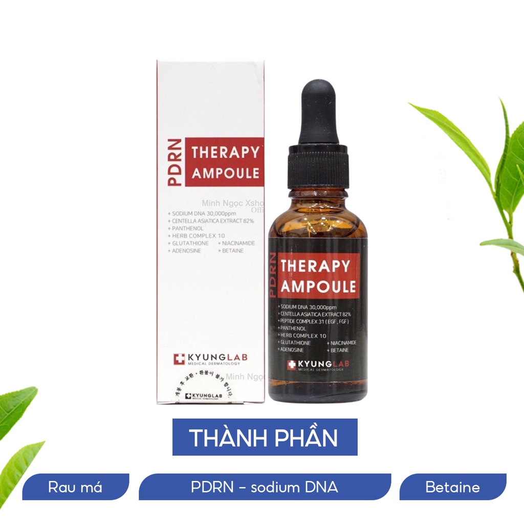 Tinh chất serum tế bào gốc phục hồi, chống lão hóa da KyungLab PDRN Therapy Ampoule 30ML
