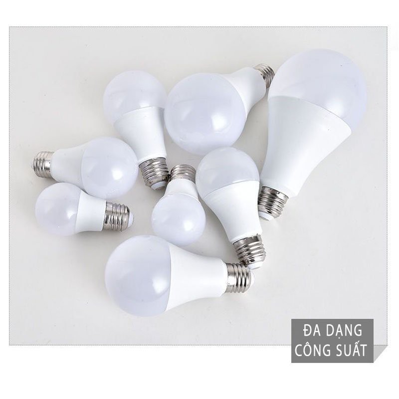 Bóng Đèn Led, Bóng Đèn Tiết Kiệm Điện Siêu Sáng PAPAA.HOME