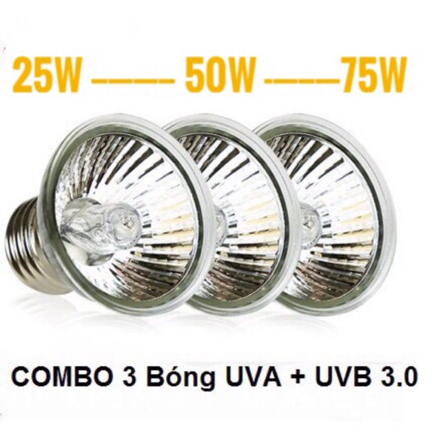 Set 3 bóng uva uvb 3.0 sưởi cho thú cưng