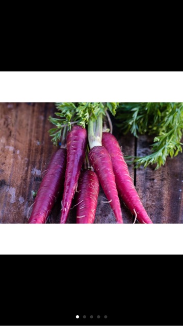 Hạt giống cà rốt tím- gói 0,2 gam