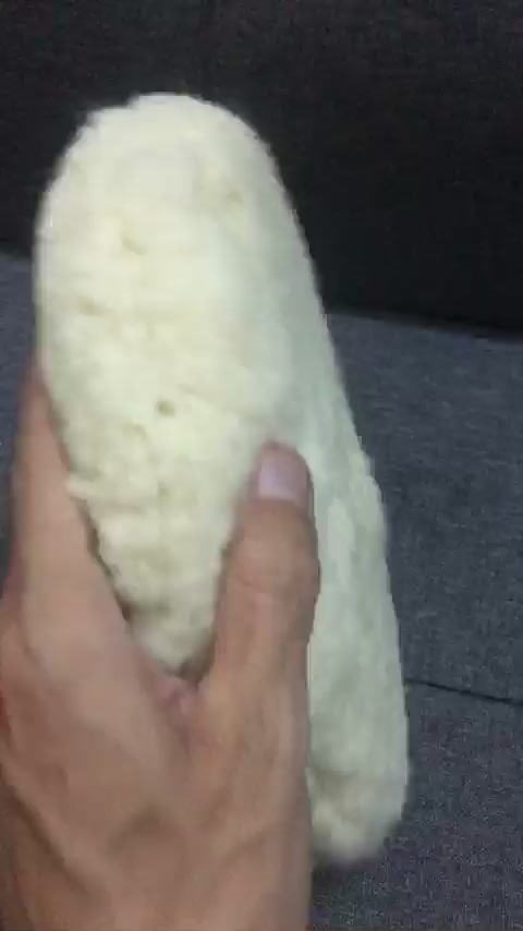 Phớt đánh bóng 2 mặt lông cừu cao cấp  9 in