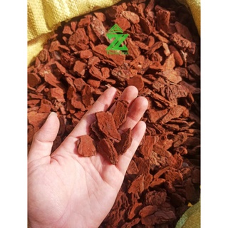 Vỏ Thông Size 2-3cm Túi 1kg