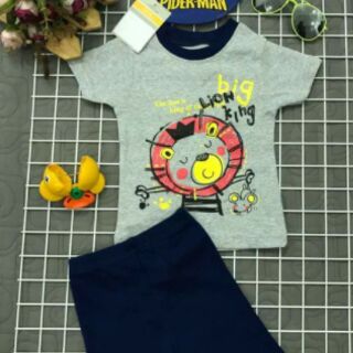 Carter chất borip
