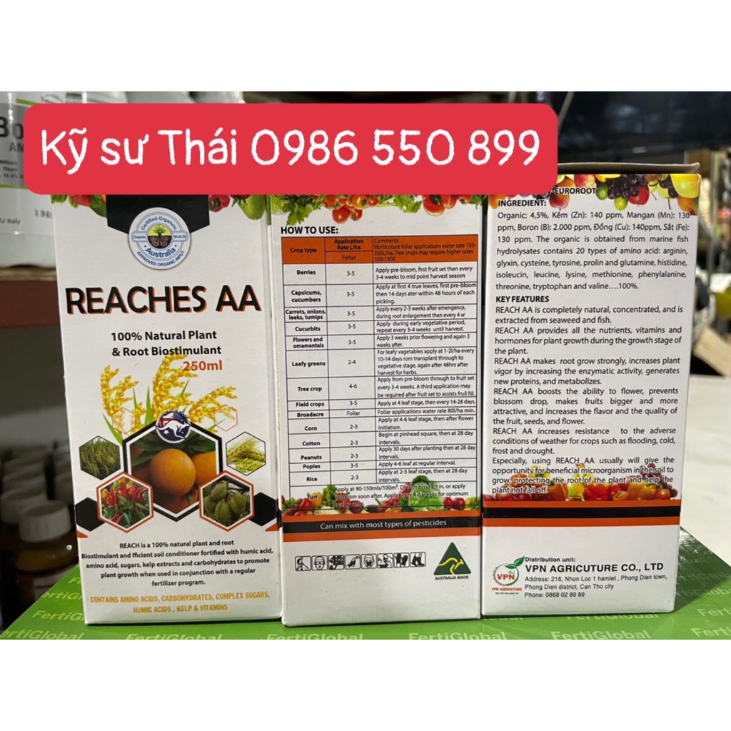 REACHES AA - AMINO ACID NHẬP KHẨU TỪ AUSTRALIA