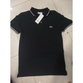 Áo polo nam hàng cá sấu