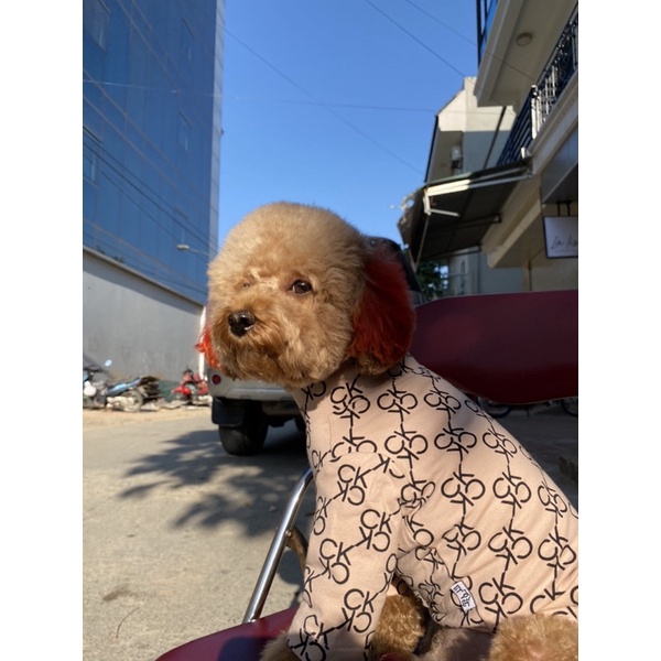 [ Hot sale ] Áo thun nỉ da cá C.K cho thú cưng