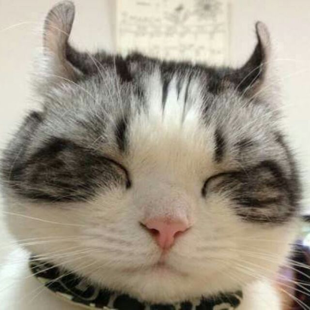 pan.ka