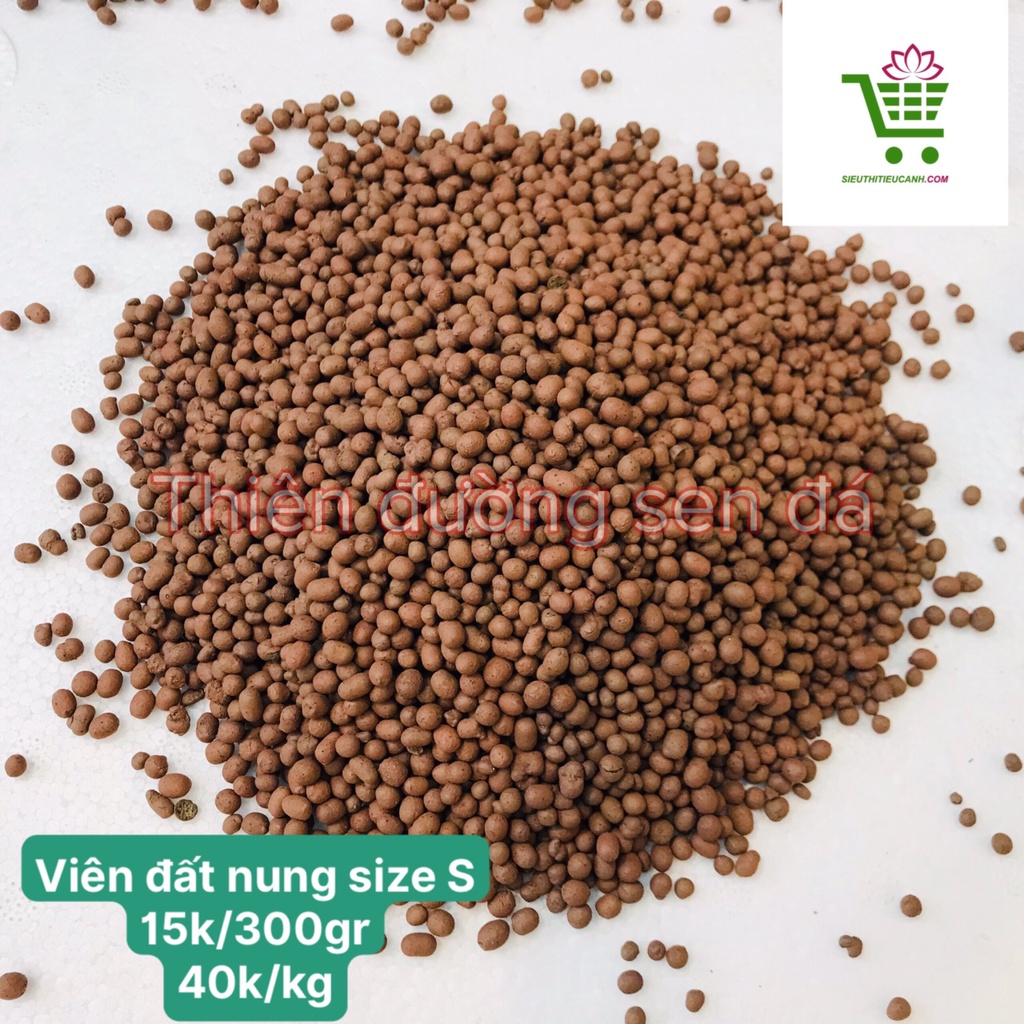 VIÊN ĐẤT NUNG, PUMICE, MASATO VÀ CÁC LOẠI ĐÁ TRỒNG SEN ĐÁ- XUỎNGONGF