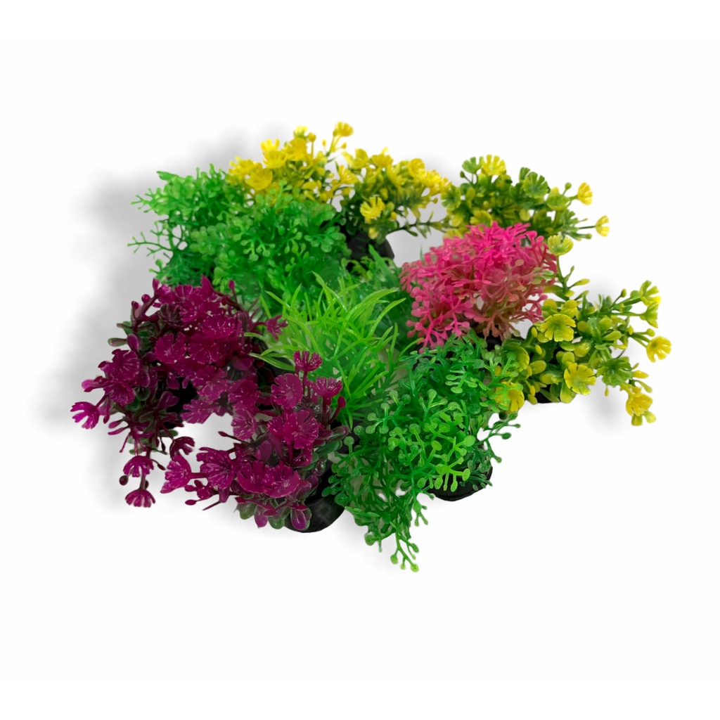 Cây Rong Trang Trí Hồ Cá Nhí Cao 4cm - Rêu Trang Trí Bể Cá Thuỷ Sinh