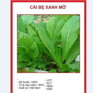 combo 4 gói hạt giống rau cải ( cải ngọt, cai xanh ,cải chíp, cải ngòng )
