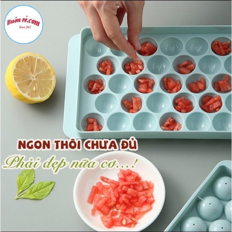 Khay Đá Bi Tròn 33 Viên Việt Nhật Tạo Nhựa Dẻo Bền, Khuôn Làm Thạch Hình Tròn(Màu Ngẫu Nhiên)