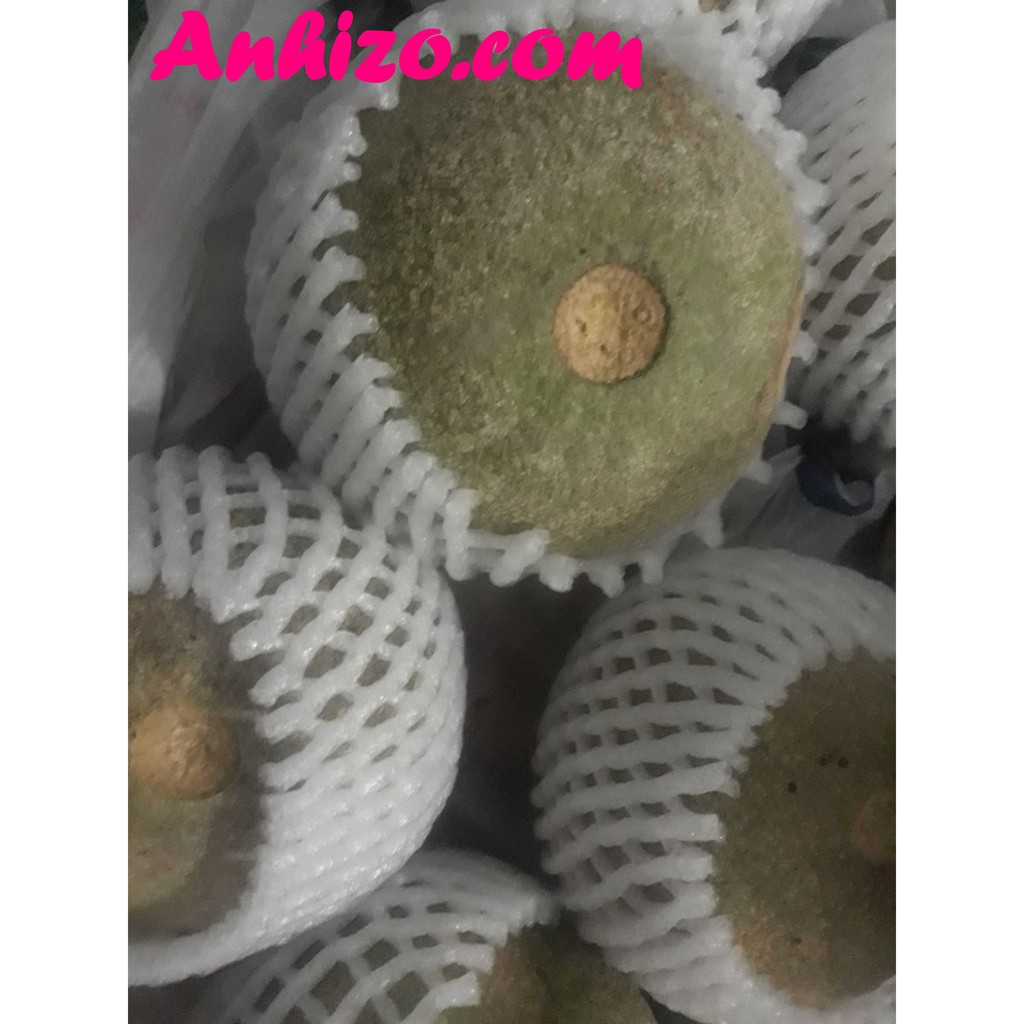 Trái QUÁCH Miền Tây  Trái Quách Trà Vinh Chua Chua Ngọt Ngọt