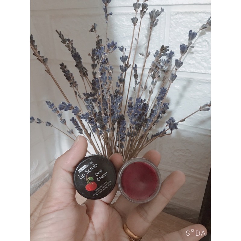 TẨY TẾ BÀO CHẾT MÔI BEAUTY TREATS LIP SCRUB