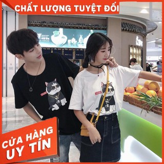 Áo thun hình mèo đại gia _ mã 93