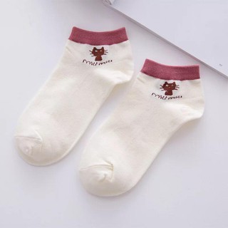 Một Đôi Tất Mèo MIUMIU