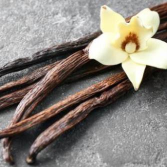 Nước Hoa Nam BLUE Dung Tích 100ML Hương Thơm Trà Xanh JAMIS | BigBuy360 - bigbuy360.vn