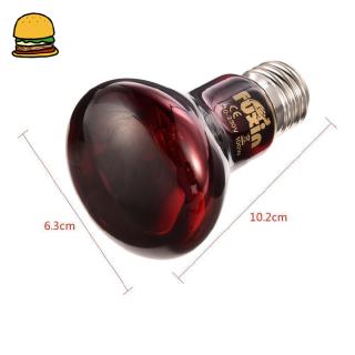 Đèn LED sưởi ấm chuyên dùng cho bò sát