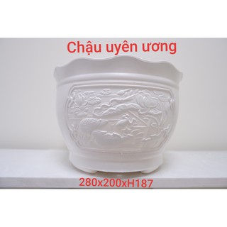 Chậu nhựa uyên ương
