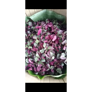 1 kg cây ô long khô