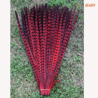 10 lông vũ nhiều màu 30-35cm