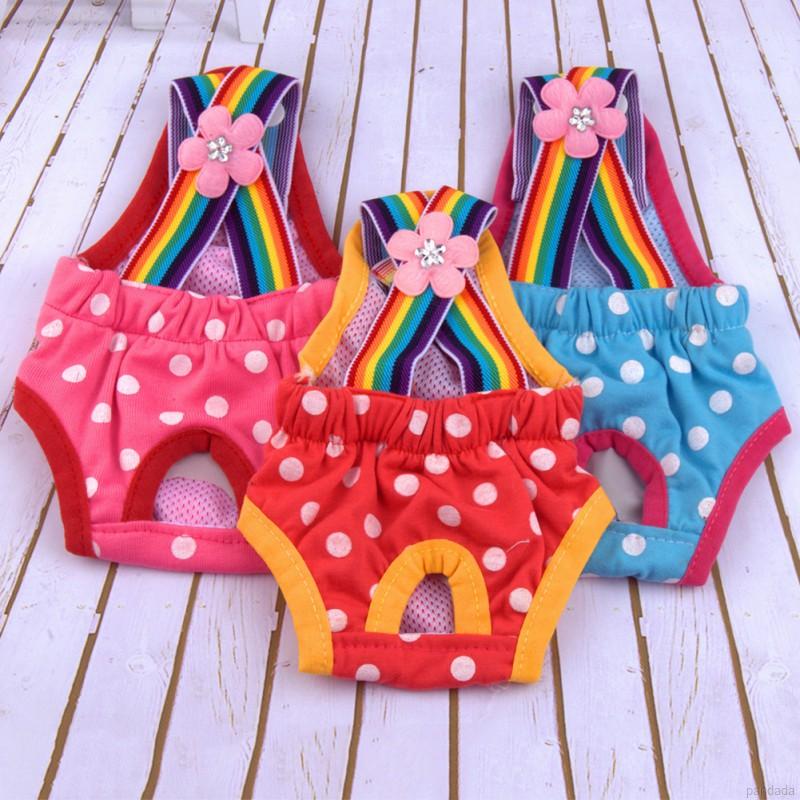 Quần Lót Sinh Lý Cho Thú Cưng