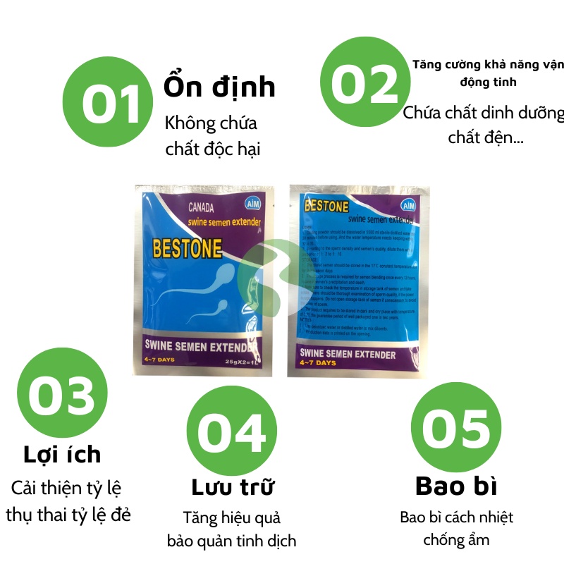Môi trường pha tinh heo Dương Ninh Bestone cải thiện tỉ lệ đẻ thụ thai PTH66