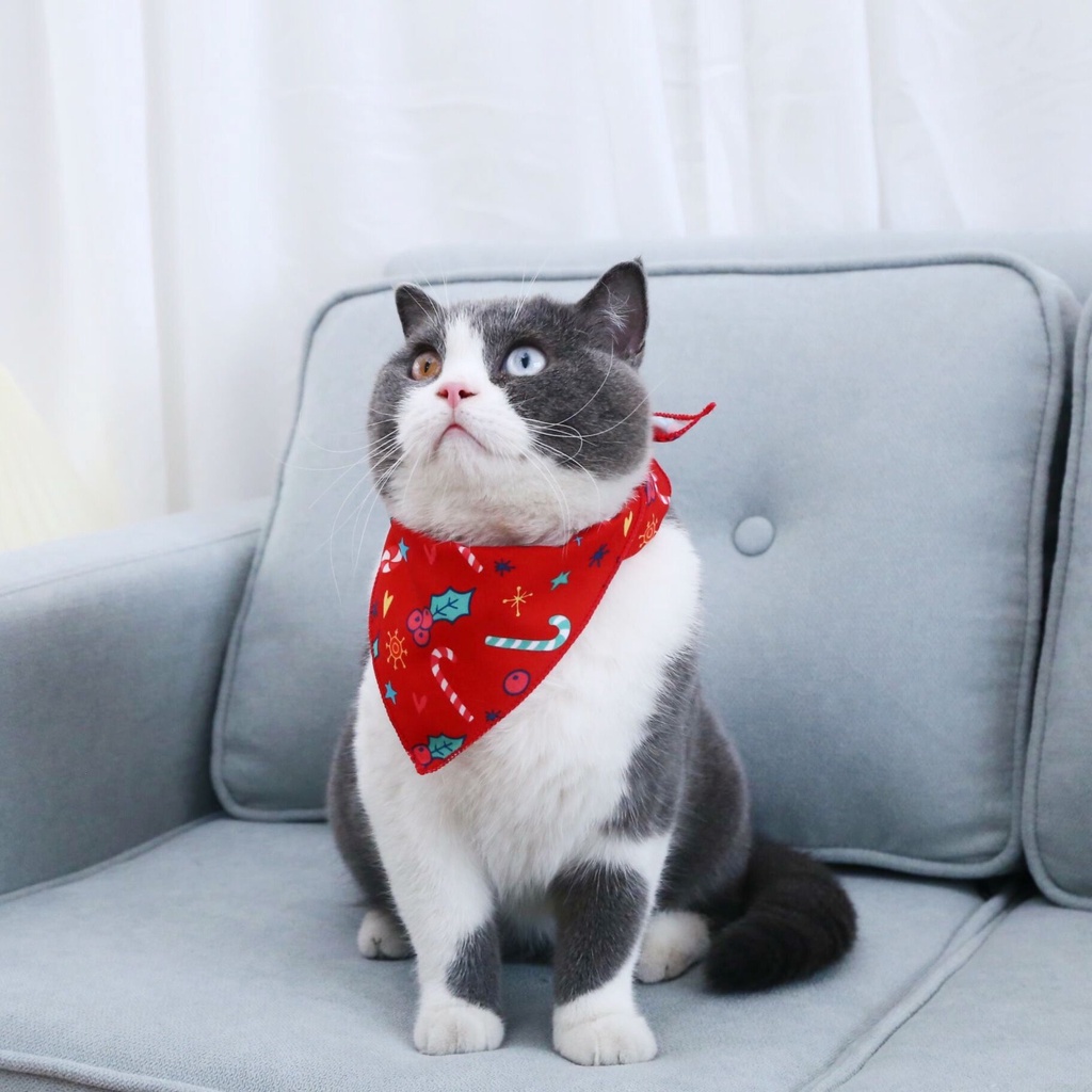 Khăn choàng cổ hình tam giác in họa tiết dễ thương cho thú cưng