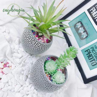 Chậu men sứ rạn mini (không kèm cây)