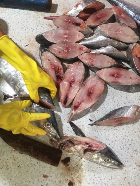 Cá thu tươi - Khay 500g