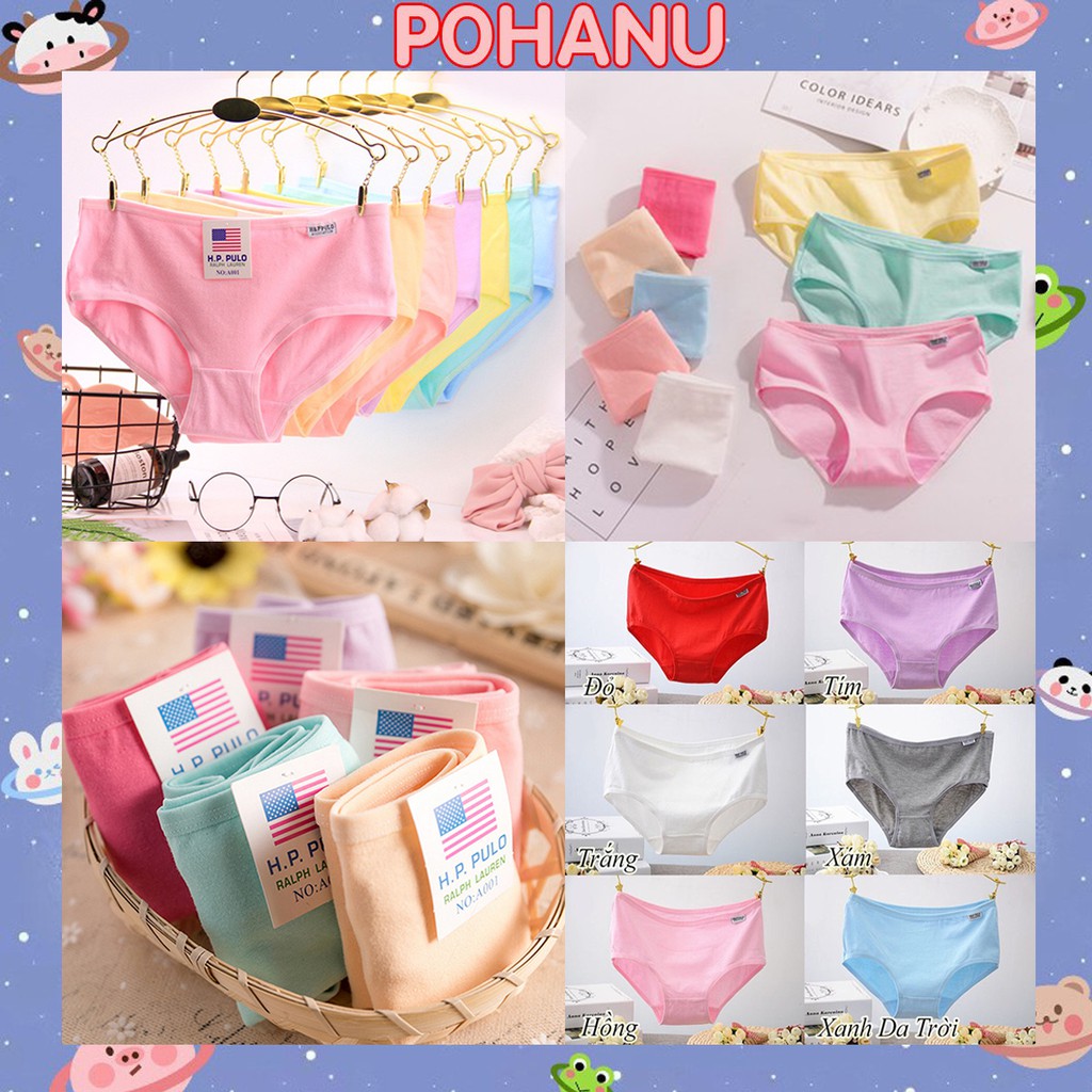 Combo 10 Quần Lót Pulo Cotton